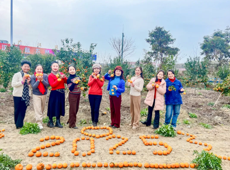 bte365官网-不凡成就非凡,相信品牌力量