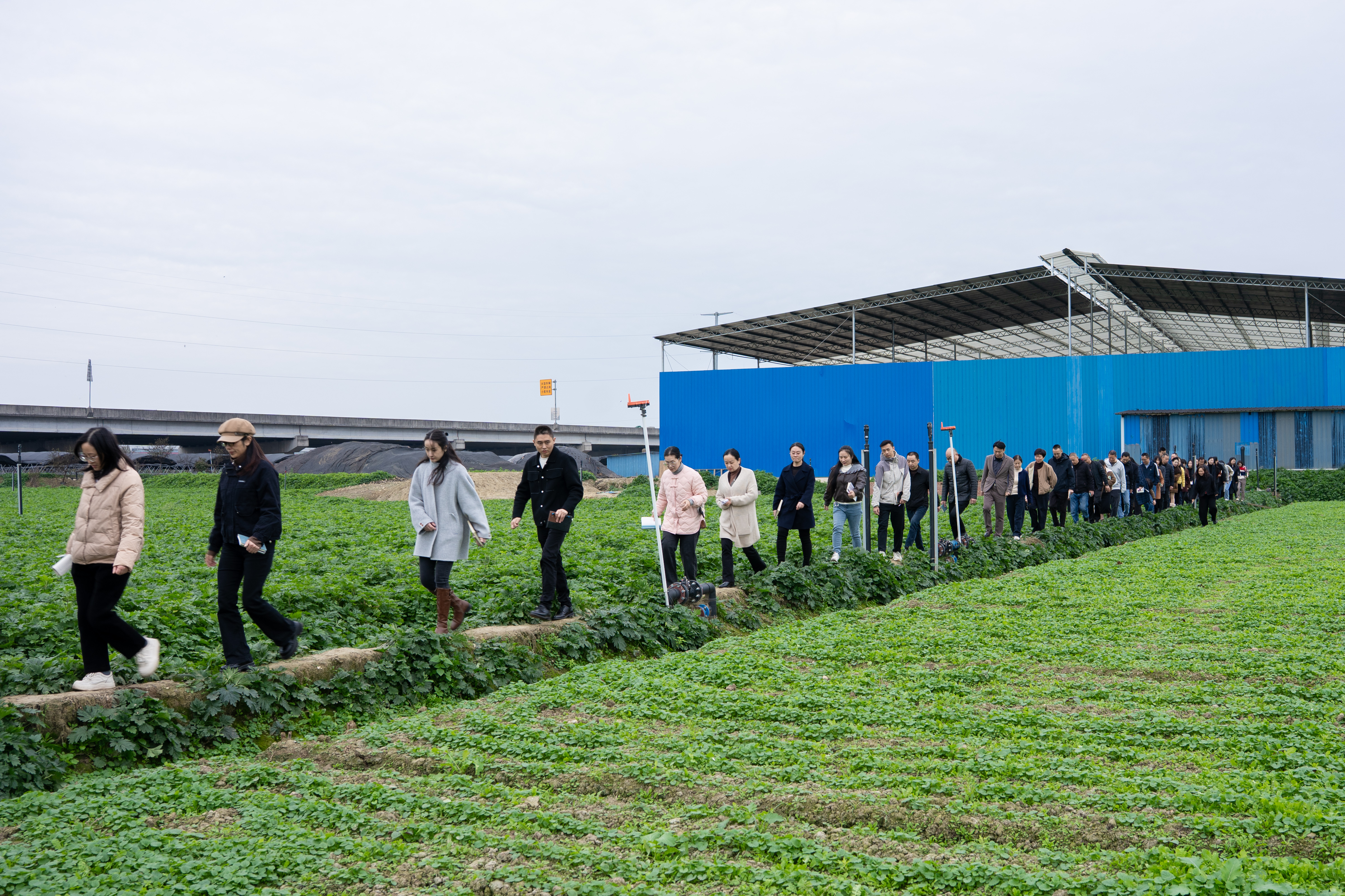 bte365官网-不凡成就非凡,相信品牌力量