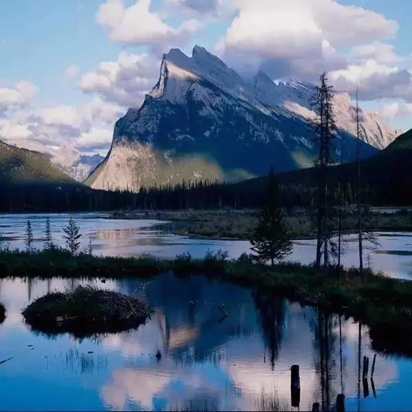 bte365官网-不凡成就非凡,相信品牌力量